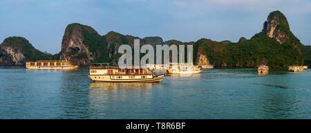 Vietnam, Golf von Tonkin, Provinz Quang Ninh, Ha Long Bay (Vinh Ha Long) als Weltkulturerbe der UNESCO (1994), iconic Landschaft der Karst Landschaftsformen, Kreuzfahrtschiffe Stockfoto