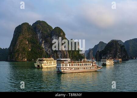 Vietnam, Golf von Tonkin, Provinz Quang Ninh, Ha Long Bay (Vinh Ha Long) als Weltkulturerbe der UNESCO (1994), iconic Landschaft der Karst Landschaftsformen, Kreuzfahrtschiffe Stockfoto