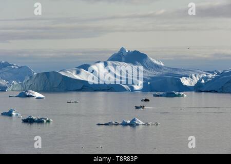 Grönland, Westküste, Diskobucht, Ilulissat, Schnellboot über den eisfjord als Weltkulturerbe der UNESCO Stockfoto