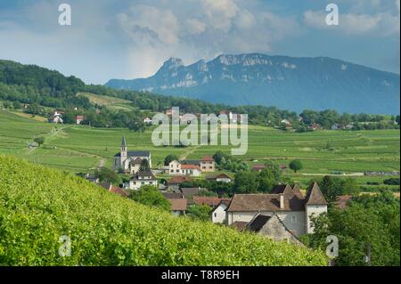 Frankreich, Savoyen, bevor Savoyischen Land, die Weinberge und das Dorf Lucey und der Zahn der Katze Stockfoto