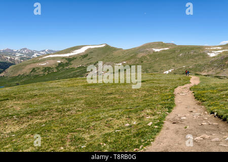 Wandern im Frühjahr Berge - ein Wanderweg schlängelt sich durch eine Wiese im Hilltop in der Front Range der Rocky Mountains, Colorado, USA. Stockfoto