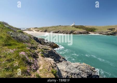 Frankreich, Morbihan, Belle-Ile Insel, Le Palais, die Pointe des Poulains und der Leuchtturm im Hintergrund Stockfoto