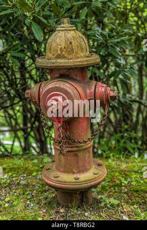 Ein alter Hydrant mit der Splitterung Farbe noch im Einsatz entlang einer Landstraße in Nord-Carolina, circa 2018. Stockfoto