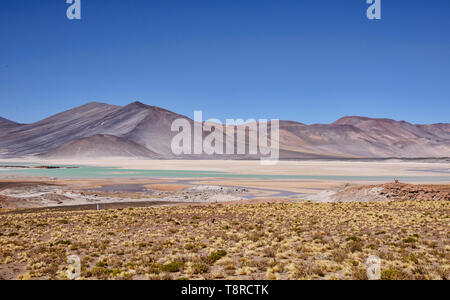 Surreale Landschaft am Salar Aguas Calientes, Atacama-wüste, Chile Stockfoto