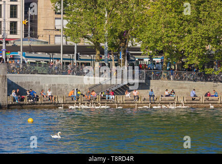 Zürich, Schweiz - 11. Mai, 2018: die Menschen am Ufer des Zürichsees im Bellevue Square in der Stadt Zürich, Schwäne auf dem See. See Züri Stockfoto