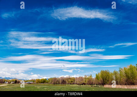 Schönen blauen Himmel mit Cirrus Wolken, schneebedeckten Rocky Mountains am Horizont; Vandaveer Ranch; Salida, Colorado, USA Stockfoto