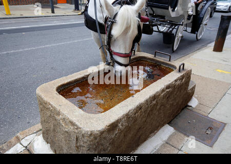 Eine Kutsche Pferd das Trinken aus einem wassertrog in N 2.St, Philadelphia Stockfoto