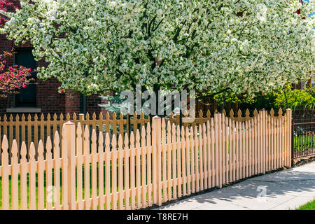Aus weißem Holz- lattenzaun; Kirschbaum in voller Blüte Frühling; Salida, Colorado, USA Stockfoto
