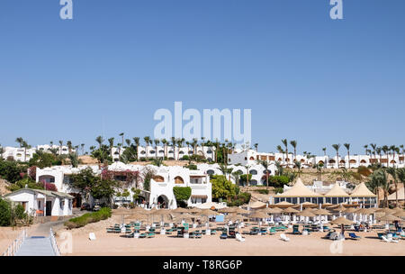 Blick auf den Strand mit Palmen und bequemen Liegestühlen in der Nähe von Hotel Resort Stockfoto