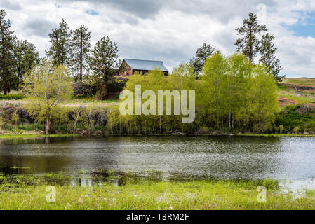 Alte Scheune in Fishtrap Recreation Area Stockfoto