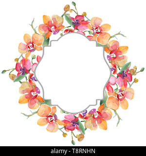 Orchid Blumensträuße Blumen botanischen Blumen. Aquarell Hintergrund Abbildung. Rahmenlinie ornament Quadrat. Stockfoto