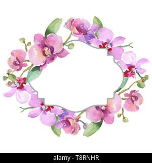 Orchid Blumensträuße Blumen botanischen Blumen. Aquarell Hintergrund Abbildung. Rahmenlinie ornament Quadrat. Stockfoto