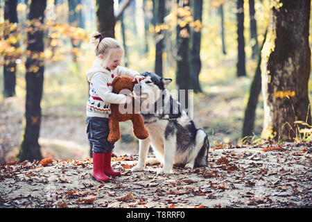 Mädchen spielen mit Husky und Teddybär auf frische Luft im Freien. Mädchen mit Hund im Herbst Wald Stockfoto