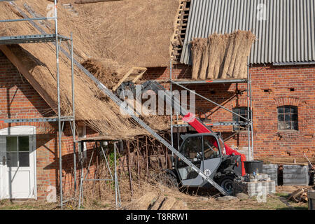 Ein altes Bauernhaus ist neu mit Reed gedeckt Stockfoto