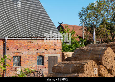 Ein altes Bauernhaus ist neu mit Reed gedeckt Stockfoto