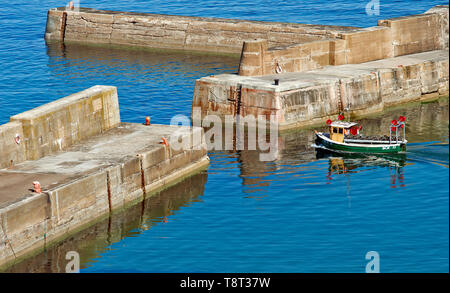 PORTKNOCKIE Moray in Schottland kleine Krabbe Boot beladen mit Reusen AUS DEM HAFEN Stockfoto