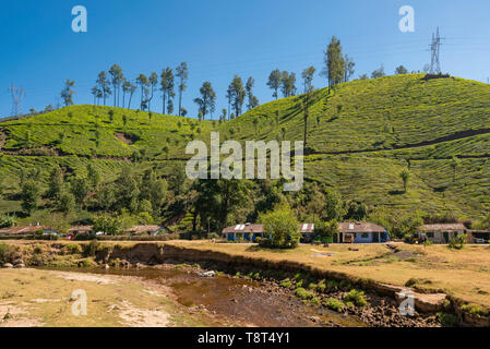 Horizontale Ansicht einer Reihe von hillside Cottages vor einem Fluss in Munnar, Indien. Stockfoto