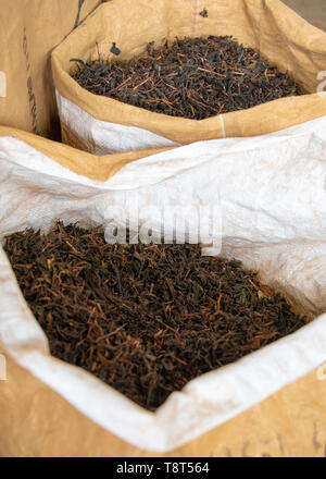 Vertikale Nahaufnahme von losen Tee am Ende der Produktionslinie in einer Teefabrik in Munnar, Indien. Stockfoto