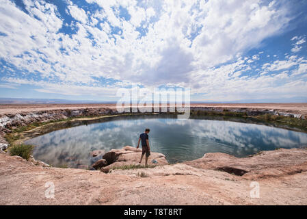 Ojos de Salar Süßwasser-Pool in der Wüste, San Pedro de Atacama, Chile Stockfoto