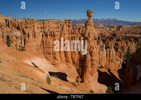 Blick auf Thors Hammer im Bryce Canyon National Park, Utah, United States Stockfoto