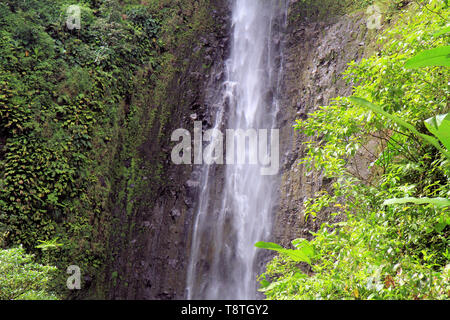 Carbet fällt, Nationalpark von Guadeloupe, Basse-Terre, Karibische Inseln, Frankreich Stockfoto