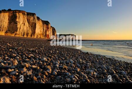 Kreidefelsen der Alabasterküste im Abendlicht, Cote d'Albatre, Les Petites Dalles, Normandie, Frankreich Stockfoto