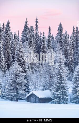 Geschneit - in der Hütte im Winter Landschaft, Pallastunturi, Pallas-Yllastunturi Nationalpark, Muonio, Lappland, Finnland Stockfoto