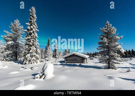 Nordlichter (Aurora Borealis) mit Sternenhimmel über schneebedeckte Hütte im Winter Landschaft, Pallastunturi, Pallas-Yllastunturi Nationalpark Stockfoto