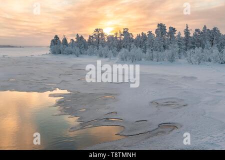 Stimmungsvolle Winterlandschaft, teilweise zugefrorenen See mit schneebedeckten Bäumen, Sonnenuntergang, Pallas-Yllastunturi Nationalpark, Muonio, Lappland, Finnland Stockfoto