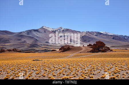 Blick auf den leeren Altiplano durch das Autofenster, Atacama-wüste, Chile Stockfoto