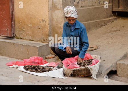 Straßenhändler verkaufen Fische, getrocknet, Kathmandu, Nepal Stockfoto