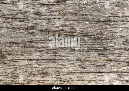 Alte graue Holzwand, den Hintergrund und die Textur, aus der Nähe. Rustikal im Alter grau Holzbrett, Ansicht von oben Stockfoto
