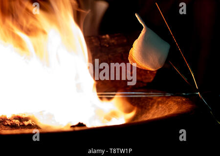 Eine geröstete Marshmallow sagging auf einem Stick am Lagerfeuer, bereit, auf einer s'mores zu gehen. Stockfoto