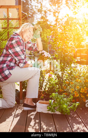 Ältere Frau im Garten im Sommer auf der Terrasse Stockfoto