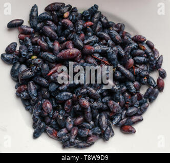 Beeren eines Geißblatt in einer Platte. Selektive konzentrieren. Stockfoto