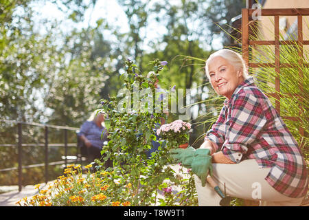 Ältere Frau im Sommer auf der Terrasse Blumen Pflanzen Stockfoto