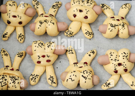 Kochen Brötchen in der Form von Kaninchen, Schritt für Schritt, Brötchen werden auf einem Backblech vor dem Backen gelegt, Ansicht von oben Stockfoto