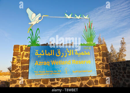 Reserva Natural del Humedal de Azraq. Jordanien, Oriente Medio Stockfoto