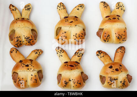 Kochen hausgemachten Brötchen in der Form von Kaninchen, Schritt für Schritt, vorgefertigten Brötchen nach dem Backen, ein kulinarisches Idee für Kinder, Ansicht von oben Stockfoto