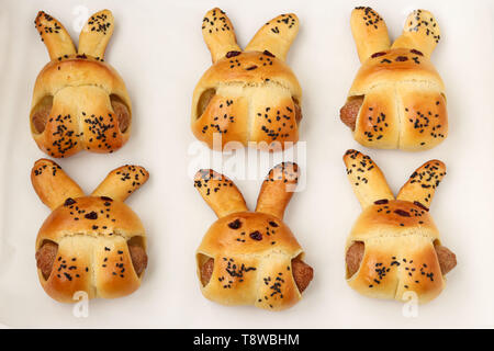 Kochen hausgemachten Brötchen in der Form von Kaninchen, Schritt für Schritt, vorgefertigten Brötchen nach dem Backen, ein kulinarisches Idee für Kinder, Ansicht von oben Stockfoto