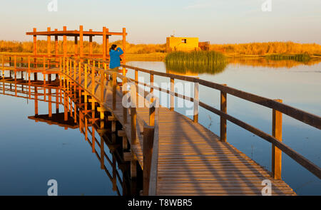 Reserva Natural del Humedal de Azraq. Jordanien, Oriente Medio Stockfoto