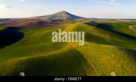 Steptoe Butte State Park ist da oben irgendwo oben auf der Klippe von Palouse Land Ackerland umgeben Stockfoto