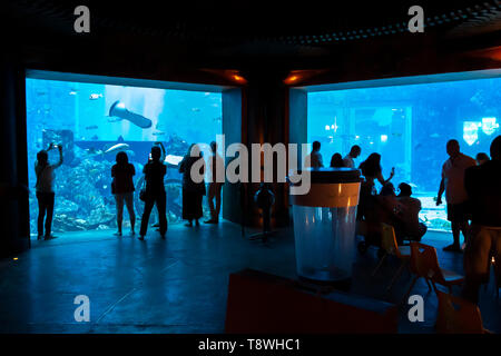 Dubai, VAE - November 29, 2018: Tropische Fische innerhalb der Lost Chambers Aquarium im Atlantis Hotel auf der Palm Jumeirah. Stockfoto