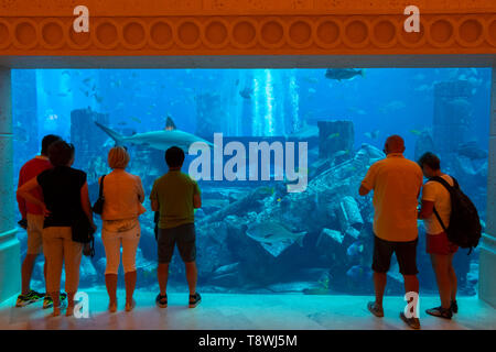 Dubai, VAE - November 29, 2018: Tropische Fische innerhalb der Lost Chambers Aquarium im Atlantis Hotel auf der Palm Jumeirah. Stockfoto