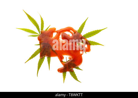 Marihuana extrahieren zerbrechen mit Marihuana treibt, auf weißem Hintergrund. Medizinisches Marihuana, pflanzliche Heilmittel. Stockfoto