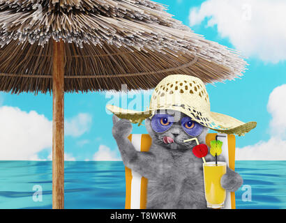 Süße Katze ausruhen und entspannen auf der Liege unter dem Dach mit Saft am Strand Ocean Shore, auf Sommer Urlaub Ferien. 3D-Rendering Stockfoto