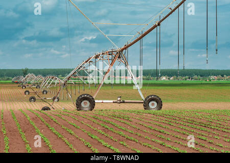 Pivot Bewässerungssystem in kultivierten Sojabohnen und Mais Feld, landwirtschaftliche Geräte für die Bewässerung der Kulturen Stockfoto