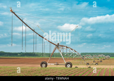Pivot Bewässerungssystem in kultivierten Sojabohnen und Mais Feld, landwirtschaftliche Geräte für die Bewässerung der Kulturen Stockfoto