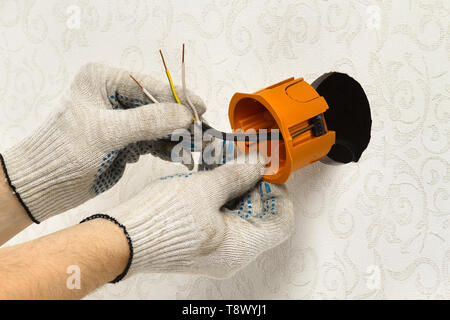 Hände von Elektriker installieren Sie die Buchse, an der Wand, Nahaufnahme Stockfoto