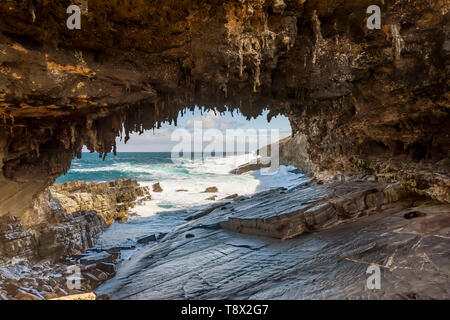 Die herrliche Admirals Arch, die von den Wellen des Meeres geschlagen, Kangaroo Island, Südaustralien Stockfoto